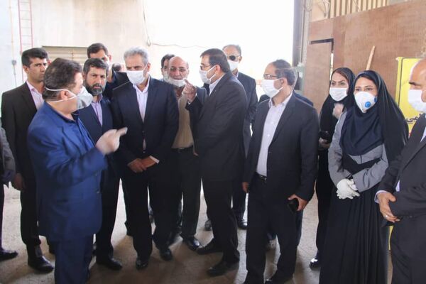 وزیر جهاد کشاورزی از مزارع گندم شهرستان باوی بازدید کرد