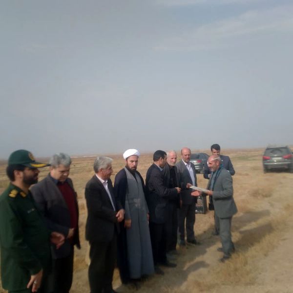 گام تازه جهاد کشاورزی شهرستان تبریز برای افزایش تولیدات دانه‌های روغنی در خسروشاه 