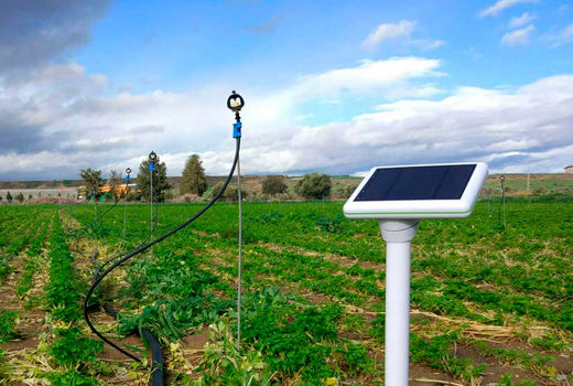 نقش اینترنت اشیا در کشاورزی و دامپروری