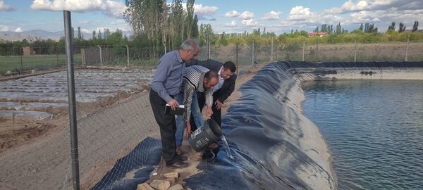 رهاسازی  5 هزار قطعه ماهی قزل‌آلا در استخرهای کشاورزی شهرستان مرند