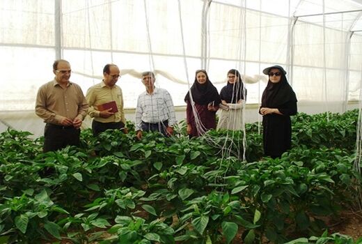 مبارزه بیولوژیک در گلخانه برای اولین بار در فارس