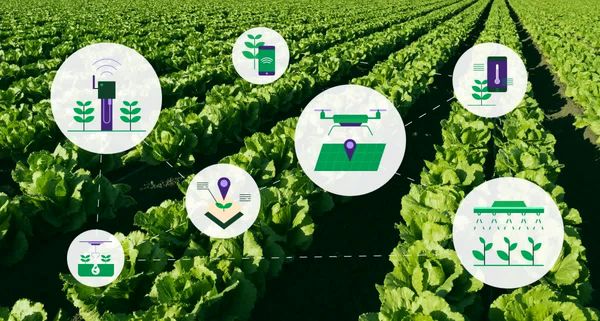 نخستین گام برای دانش‌بنیان‌سازی کشاورزی با هدف توسعه بازار و صادرات برداشته شد