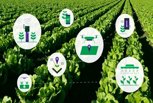 نخستین گام برای دانش‌بنیان‌سازی کشاورزی با هدف توسعه بازار و صادرات برداشته شد