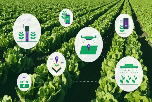 نخستین گام برای دانش‌بنیان‌سازی کشاورزی با هدف توسعه بازار و صادرات برداشته شد