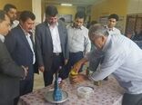 تولید 12000 تن زیتون در استان گلستان