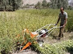 اختصاص 13 میلیارد تومان اعتبار به بخش مکانیزاسون کشاورزی هرمزگان