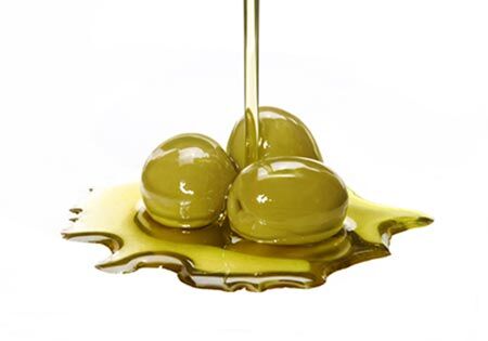 ایستگاه تحقیقات زیتون طارم زنجان، گزینه مناسب بانک ژرم پلاسم اصلی زیتون ایران