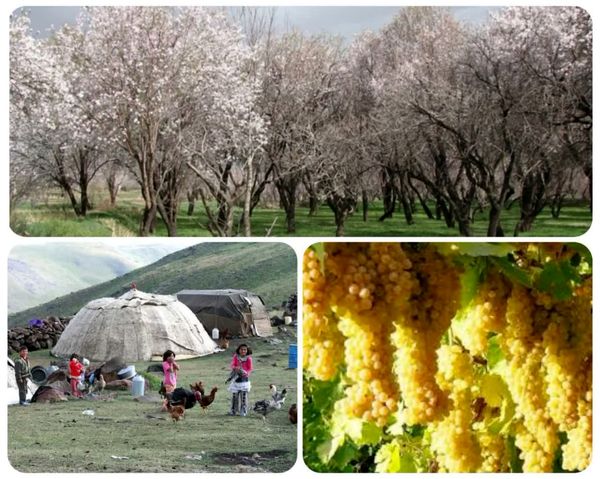 فرصت جذب سرمایه گذار برای چهار طرح گردشگری کشاورزی در استان قزوین