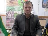 برداشت 162 تن گردو در شهرستان گالیکش /افزایش 45 درصدی نسبت به سال گذشته