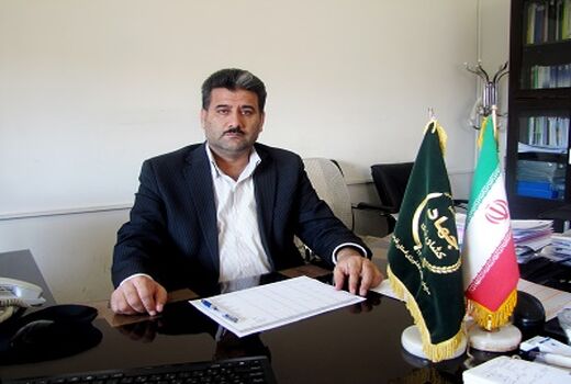 ایجاد هفت هزار هکتار  کشت در فضای گلخانه در افق 10 ساله