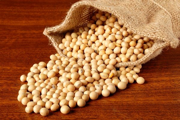 دستورالعمل معافیت واردات دانه و روغن خام در ازای خرید دانه داخلی ابلاغ شد/ حمایت وزارت جهاد کشاورزی از واردکنندگان کنجاله + جدول