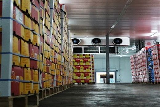 ظرفیت سردخانه‌ها در استان بوشهر به 114.5 هزار تن رسید