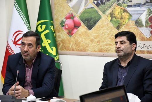 جذابیت سرمایه‌گذاری در حوزه زراعت چوب 