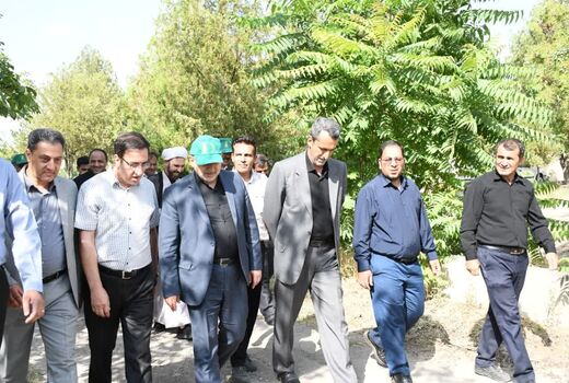 رونمایی از چهار رقم جدید زردآلو در ایستگاه تحقیقات باغبانی سهند