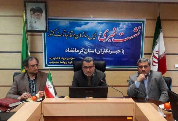 کاهش خسارت سن‌زدگی مزارع گندم کشور به کمتر از نیم درصد