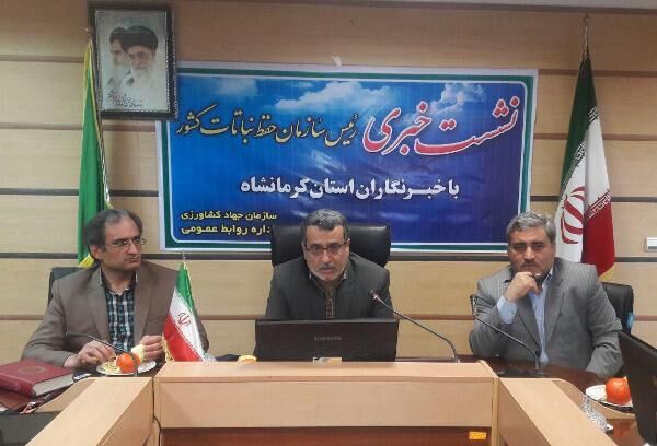 کاهش خسارت سن‌زدگی مزارع گندم کشور به کمتر از نیم درصد