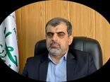 تحقق ۵۰ درصد پیش بینی در خصوص خرید حمایتی دام سبک و سنگین 