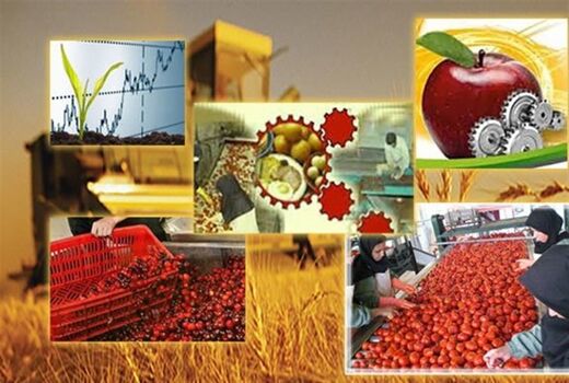 افزایش 26هزارتنی‌ظرفیت صنایع تبدیلی خراسان رضوی 