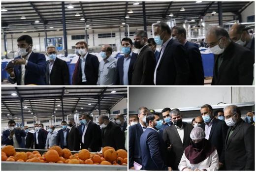 بازدید وزیر جهاد کشاورزی از شرکت تولیدی گلدشت در شهرستان جهرم 