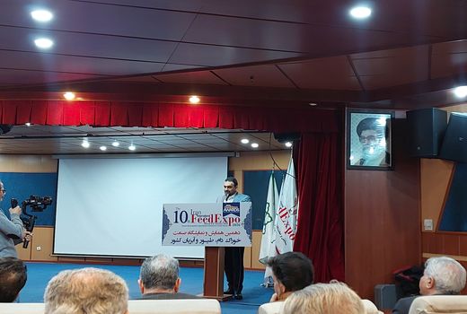 ضرورت تقویت زیرساخت‌های حمایتی برای پایداری تولید خوراک دام