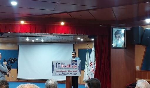 ضرورت تقویت زیرساخت‌های حمایتی برای پایداری تولید خوراک دام