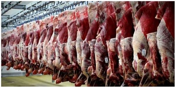 پاکستان گزینه اول واردات گوشت قرمز شد / پیشنهاد ترکیب وارداتی برای کاهش ریسک و هزینه‌ها