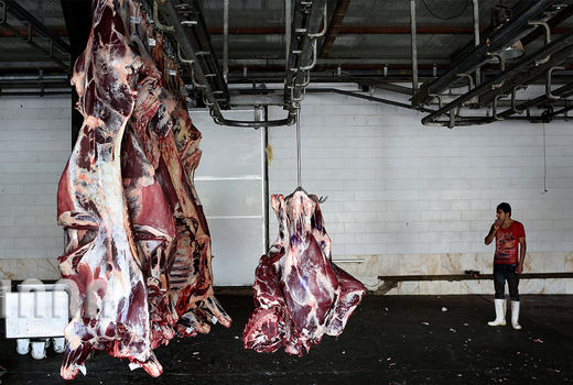 تولید سالانه 90 هزار تن گوشت قرمز در سیستان و بلوچستان