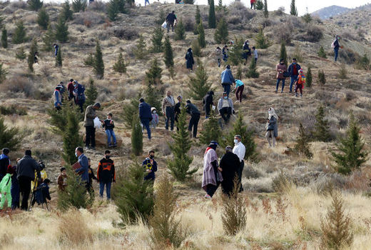 تحقق بیش از 70 درصد پویش مردمی بذرکاری و بذر پاشی برای عرصه های منابع طبیعی استان سمنان