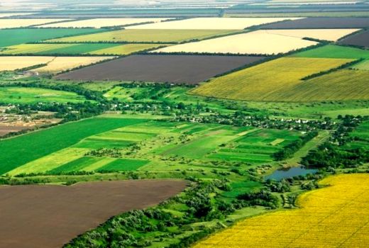 تنها ۱۱ درصد از اراضی کشور قابل کشت است /  عدم قاطعیت در اجرای قانون حفظ کاربری 