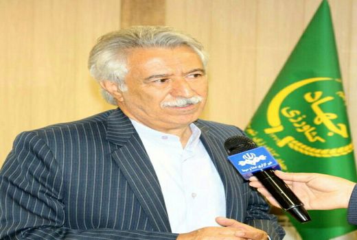 کاشت بیش از 6 هزارو 200 هکتار ذرت دانه ای در شهرستان کرمانشاه