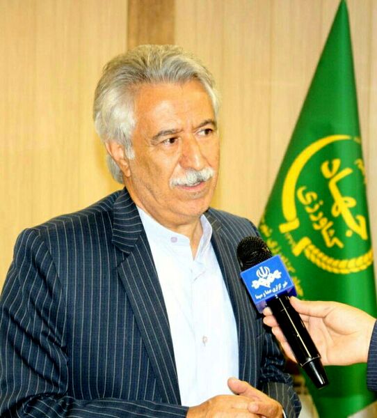 کاشت بیش از 6 هزارو 200 هکتار ذرت دانه ای در شهرستان کرمانشاه