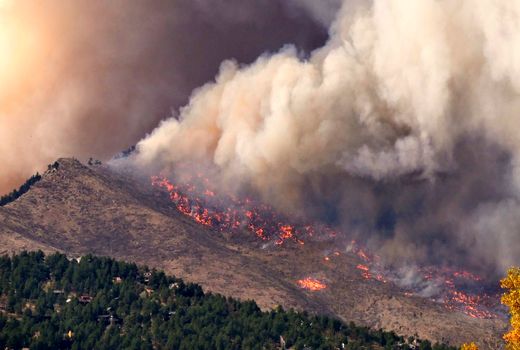 خشکسالی و آتش سوزی‌های جنگلی نگرانی بزرگ در دانمارک