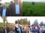 کشت خشکه‌کاری جایگزین مناسبی برای محصولات آب‌براست