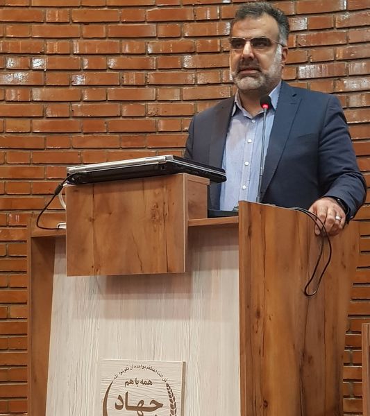 نقش صندوق‌ها باید در زنجیره تولید دیده شود