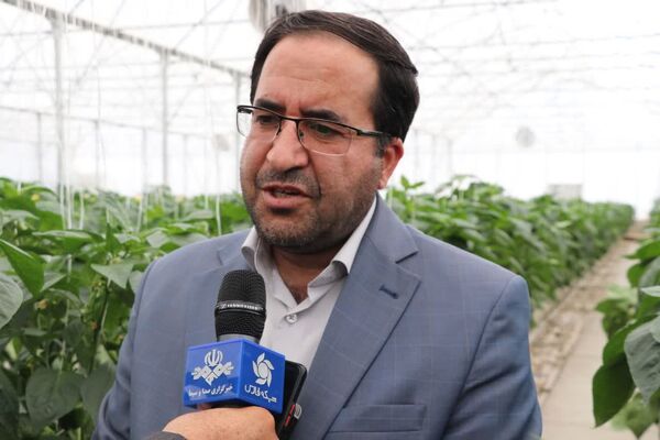 سیاست‌گذاری‌ برای کاهش هزینه‌های تولید 