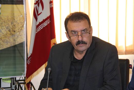 تولید 100 تن بذر کلزا مازاد بر نیاز استان