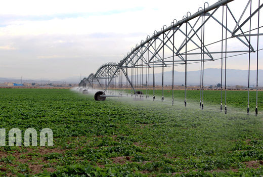 عکس روز:آبیاری بارانی