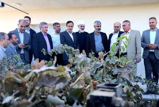 بازدید معاون وزیر جهاد کشاورزی از باغ داربستی مدرن انگور در اسفرورین تاکستان