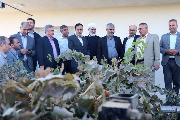 بازدید معاون وزیر جهاد کشاورزی از باغ داربستی مدرن انگور در اسفرورین تاکستان