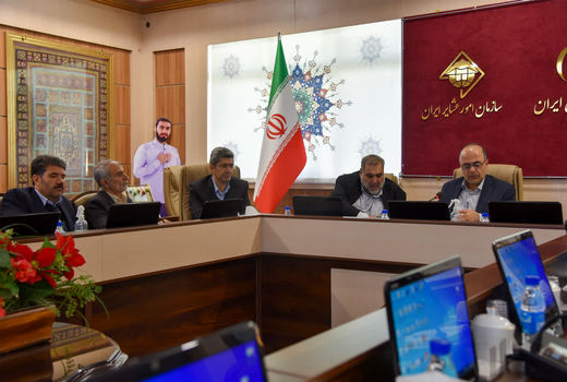 عشایر به اندازه یک دولت موضوع برای رسیدگی دارند