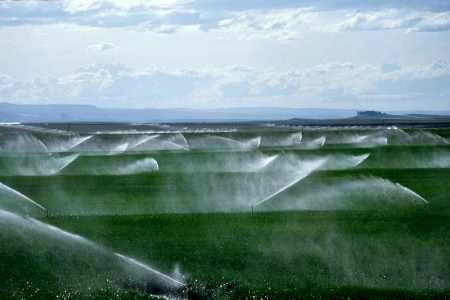 651 هکتار زمین در مهاباد به آبیاری تحت فشار مجهز شد