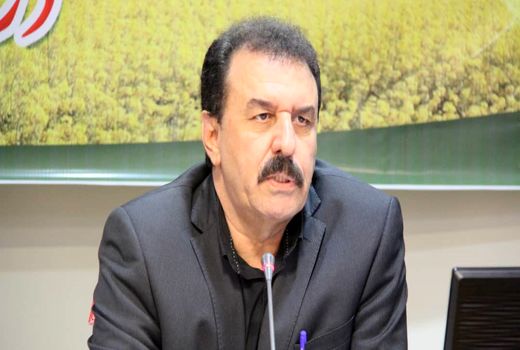 توزیع 340 تن بذر گواهی شده کلزا در شهرستان‌های استان خوزستان