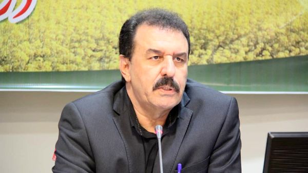 توزیع 340 تن بذر گواهی شده کلزا در شهرستان‌های استان خوزستان