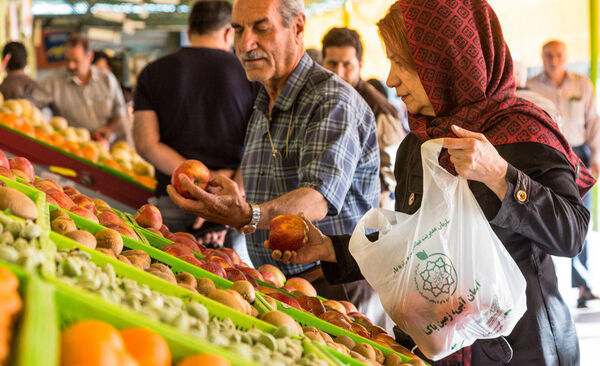 داغ سرما بر پیشانی میوه‌های تابستانی