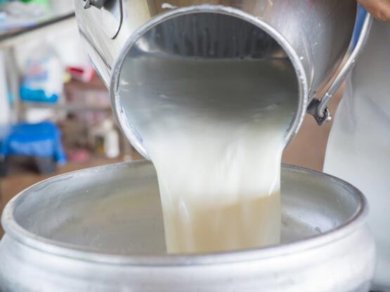 اصلاح قیمت شیر و شکر برای حمایت از تولید