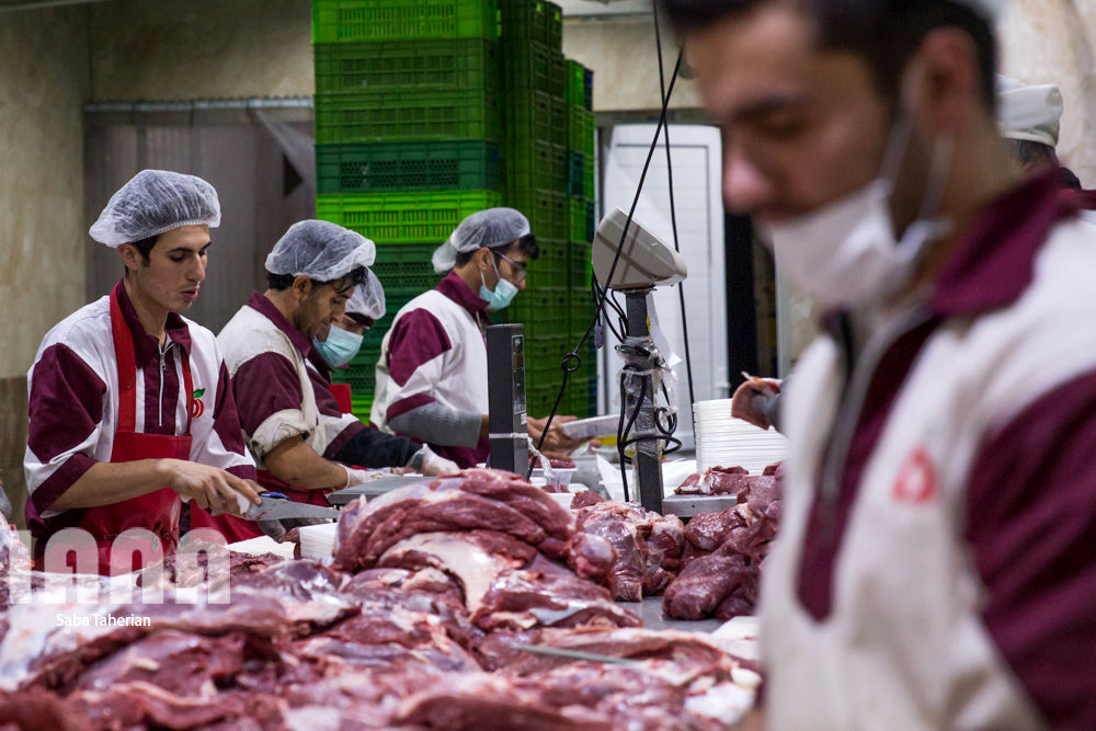 بسته‌بندی محصولات پروتئینی