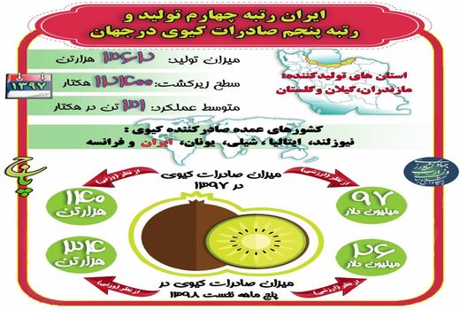 ایران رتبه چهارم تولید و رتبه پنجم صادرات کیوی در جهان 