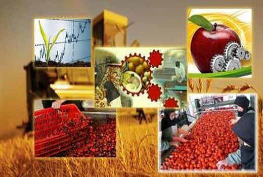 ایجاد حلقه‌ زنجیره تولید عامل افزایش ارزش افزوده کشاورزی