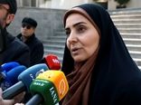مشکل بیمه سبز و ویزای رانندگان پیگیری می‌شود