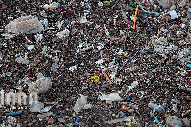 زباله دانی به وسعت یک جنگل